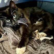 Thumbnail photo of Heidi #3