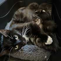 Thumbnail photo of Heidi #4