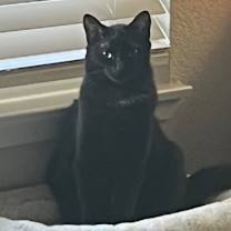 Thumbnail photo of Scudy #2