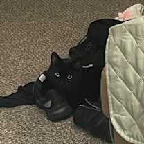 Thumbnail photo of Scudy #3