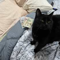 Thumbnail photo of Scudy #4