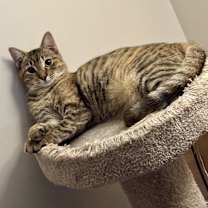 Thumbnail photo of Moe #2