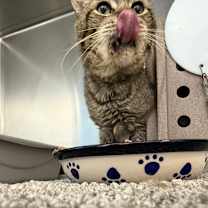 Thumbnail photo of Grandpa #3