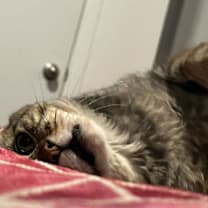 Thumbnail photo of Grandpa #4