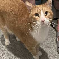 Thumbnail photo of Patrick #2