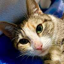 Thumbnail photo of Helen #4