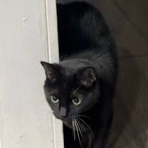 Thumbnail photo of Sophia #3