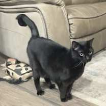 Thumbnail photo of Sophia #4