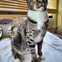 Thumbnail photo of Dilly #1