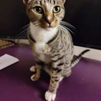 Thumbnail photo of Dilly #3