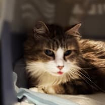 Thumbnail photo of Mrs. Mac #2