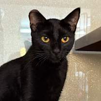 Thumbnail photo of LOUISE #3