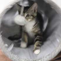 Thumbnail photo of Precious (Billing) #3