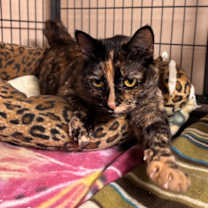 Thumbnail photo of Leigh Ray #1