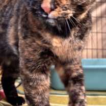 Thumbnail photo of Leigh Ray #3