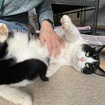 Thumbnail photo of Owen #1