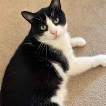 Thumbnail photo of Owen #2