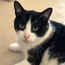 Thumbnail photo of Owen #3