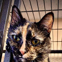 Thumbnail photo of Leigh Ray #2