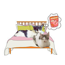 Thumbnail photo of Miss grumpy #3