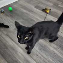 Thumbnail photo of Luna #3