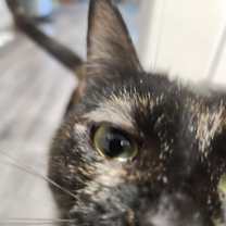 Thumbnail photo of CAPTAIN JESSICA  CORTEZ #4