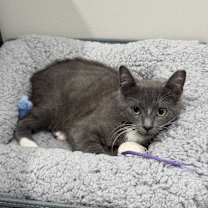 Thumbnail photo of Boots #2