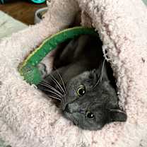 Thumbnail photo of Eleanor #1