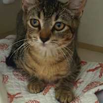 Thumbnail photo of Simon #3