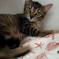 Thumbnail photo of Simon #4