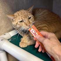 Thumbnail photo of Lloyd  #4