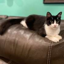 Thumbnail photo of Raspberry #3