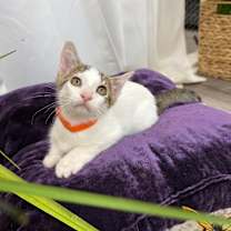 Thumbnail photo of Gretl Held #1