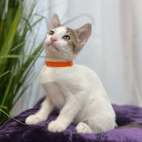 Thumbnail photo of Gretl Held #3