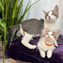 Thumbnail photo of Gretl Held #4