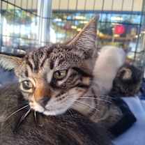 Thumbnail photo of Maggie #2