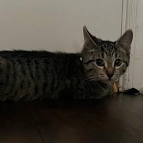 Thumbnail photo of Vic #3