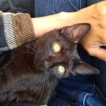 Thumbnail photo of Darla. #3