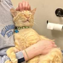 Thumbnail photo of Smiley #1