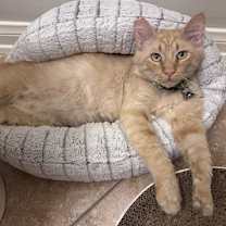 Thumbnail photo of Smiley #3