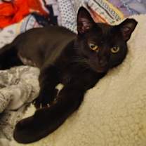 Thumbnail photo of Wednesday #3