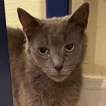 Thumbnail photo of Harriet (LE) #4