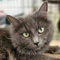 Thumbnail photo of Faith #1