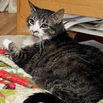 Thumbnail photo of Bubbles #1