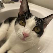 Thumbnail photo of Malachi #1