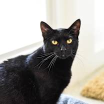 Thumbnail photo of Bubbles #1