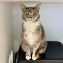 Thumbnail photo of Ruby #3