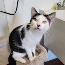 Thumbnail photo of Marilyn #3