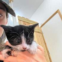 Thumbnail photo of Otto Burnham #3