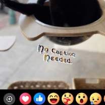 Thumbnail photo of Shadow #2